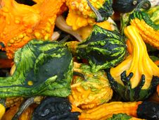 Gourds Royalty Free Stock Photos Gourds Royalty Free Stock Photos