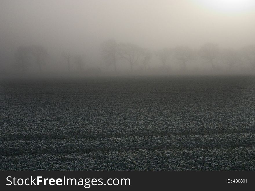 Ploughed field with fog encroached trees. Ploughed field with fog encroached trees