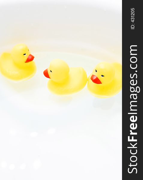 Rubber Duckies. Rubber Duckies