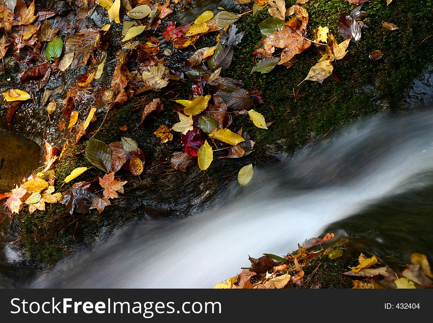 Water flowing and colored leaves in fall. Water flowing and colored leaves in fall