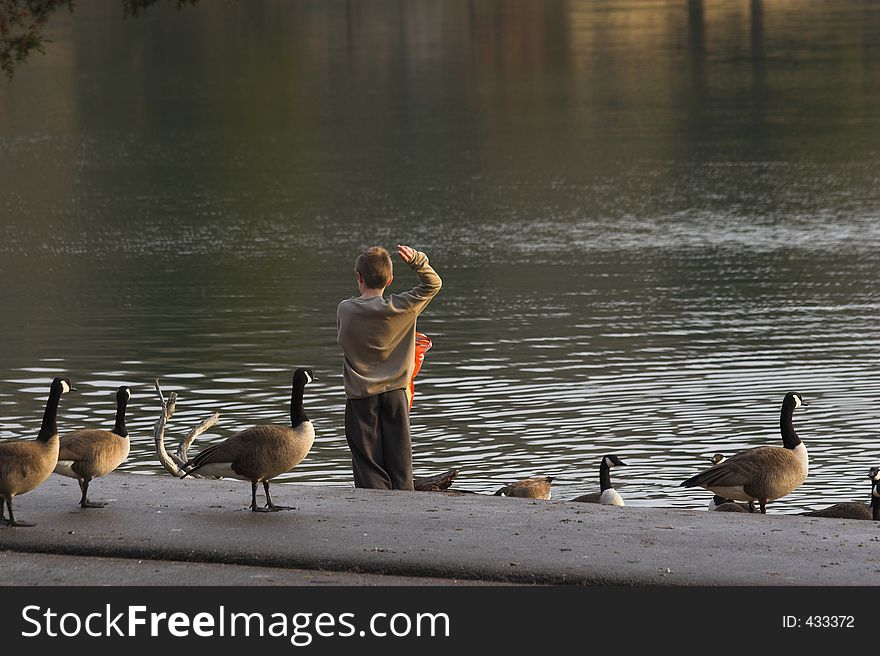 Child & Geese