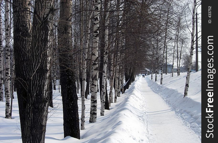 Snow alley