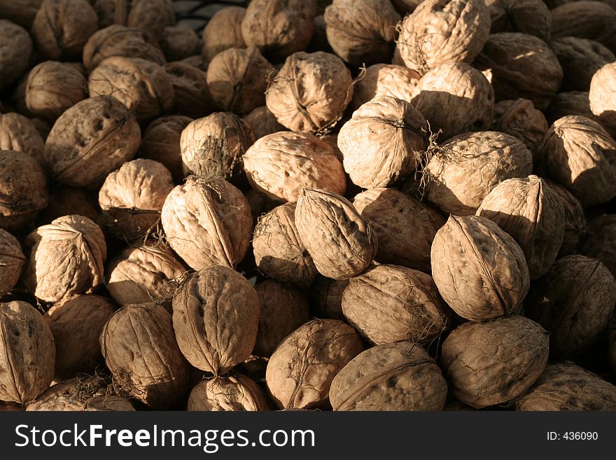 Freshly harvested sea of walnuts, horizontal