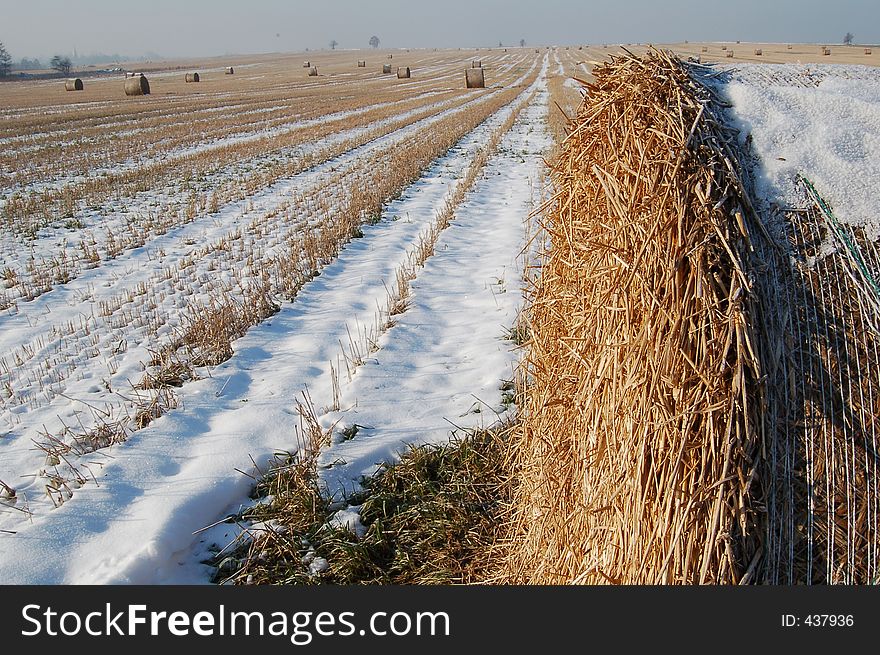 Winter Landscape With Bundles