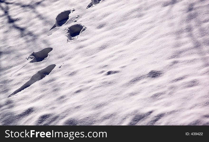 Foots in snow...focused on foots. Foots in snow...focused on foots