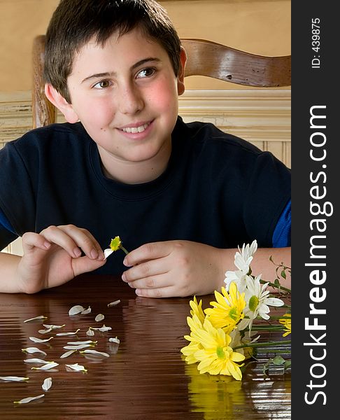 Young man with daisies Playing she loves me, She loves me not