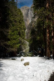 Lower Yosemite Falls Royalty Free Stock Photo