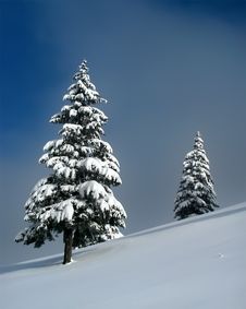 Solitude Stock Images Solitude Stock Images