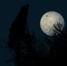 Moon Night Stock Image