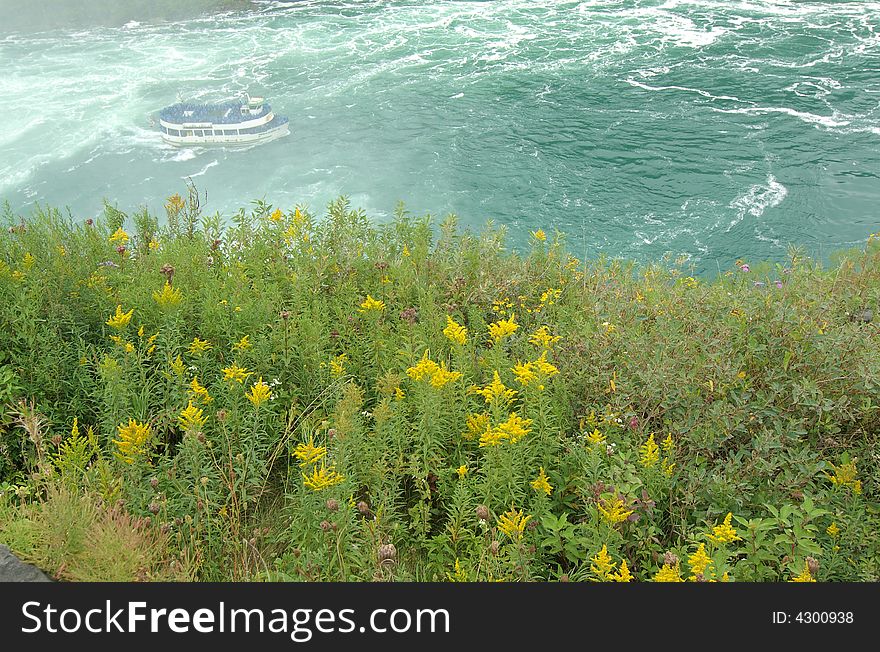 This is the maid of the mist boat ride in Niagara falls.  In the foreground are wild flowers.