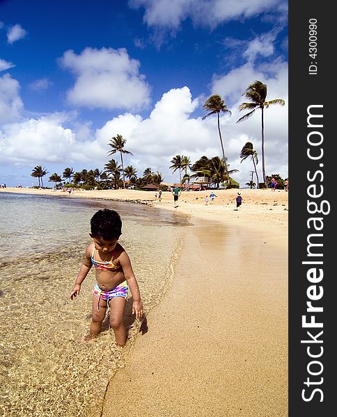 Toddler Playing In The Warm Hawaiian Waters