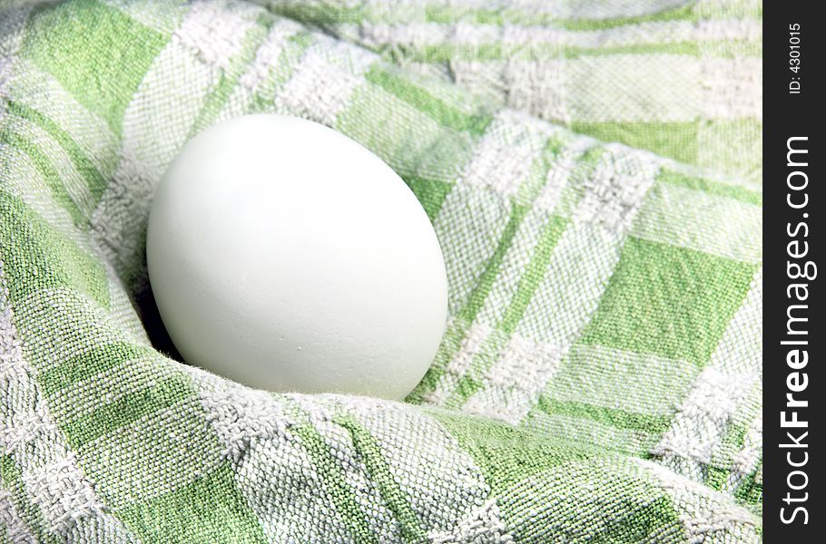 Egg resting in a green plaid Dish Towel. Egg resting in a green plaid Dish Towel