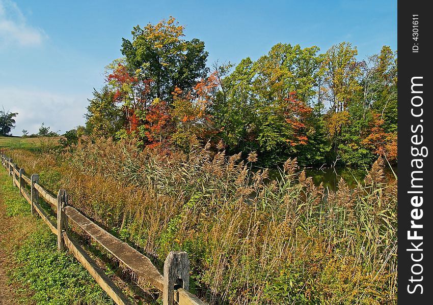 A Fall meadow along a fence and lake at a state park in Central New Jersey. A Fall meadow along a fence and lake at a state park in Central New Jersey.