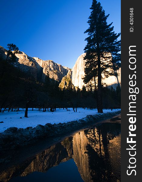 El Capitan and trees reflected in a puddle, Yosemite National Park. El Capitan and trees reflected in a puddle, Yosemite National Park