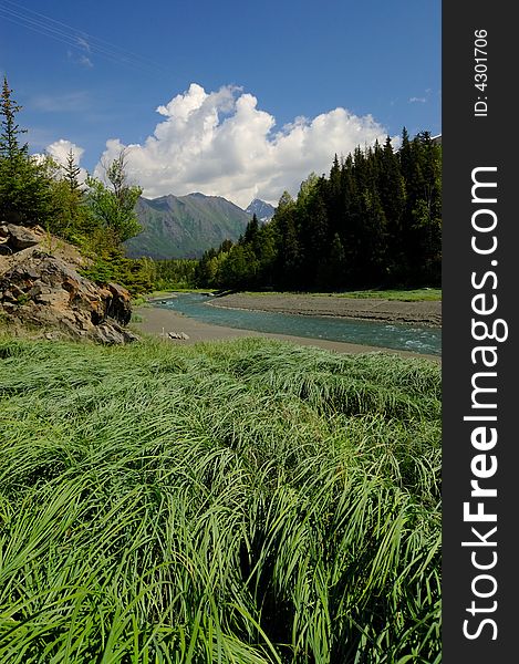 This is a scenic photograph of the alaskan mountain ranges with a river running towards them. There is wild grass in the foreground of the photo.â€¨â€¨This photograph was taken near Anchorage, Alaska. This is a scenic photograph of the alaskan mountain ranges with a river running towards them. There is wild grass in the foreground of the photo.â€¨â€¨This photograph was taken near Anchorage, Alaska.