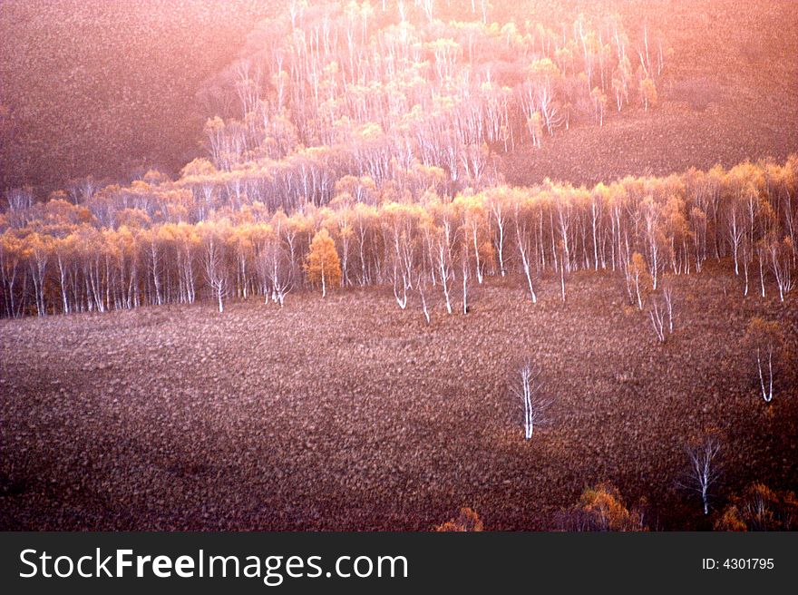 Taken in grassland on inner Mongolia, China on sunrise. Taken in grassland on inner Mongolia, China on sunrise