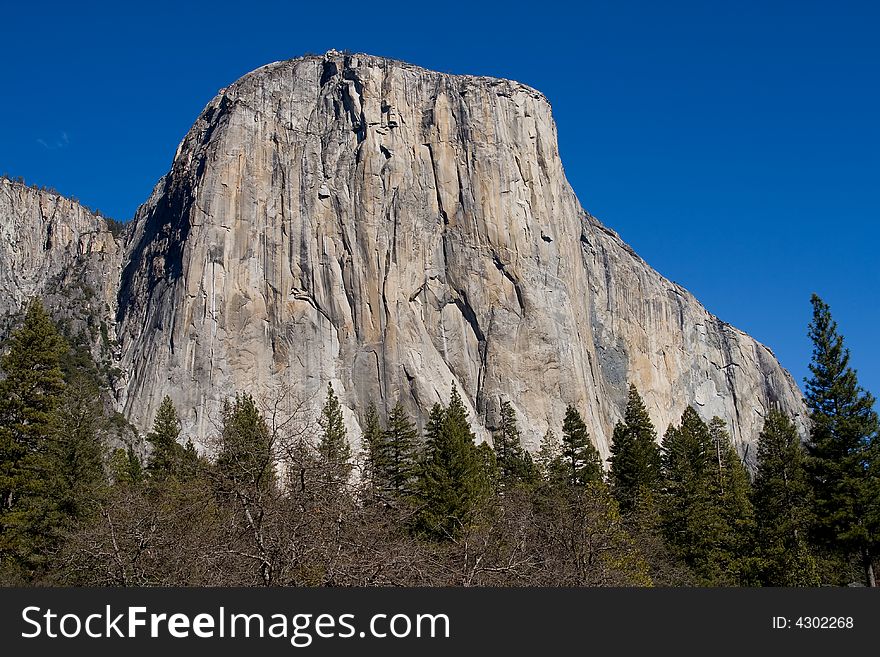 El Capitan In Yosemite National Park