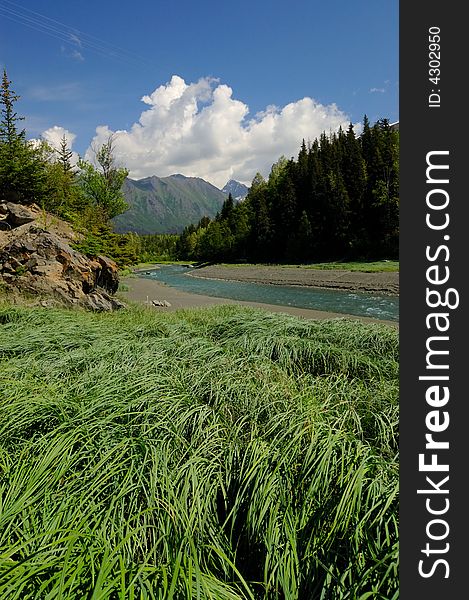 This is a scenic photograph of the alaskan mountain ranges with a river running towards them. There is wild grass in the foreground of the photo.  This photograph was taken near Anchorage, Alaska. This is a scenic photograph of the alaskan mountain ranges with a river running towards them. There is wild grass in the foreground of the photo.  This photograph was taken near Anchorage, Alaska.