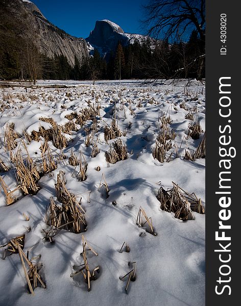 Half Dome And Frozen Meadows