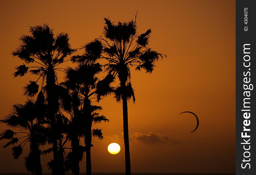 Sun setting at Venice beach Los Angelos showing silhouettes of palmtrees and a kite surfer. Sun setting at Venice beach Los Angelos showing silhouettes of palmtrees and a kite surfer