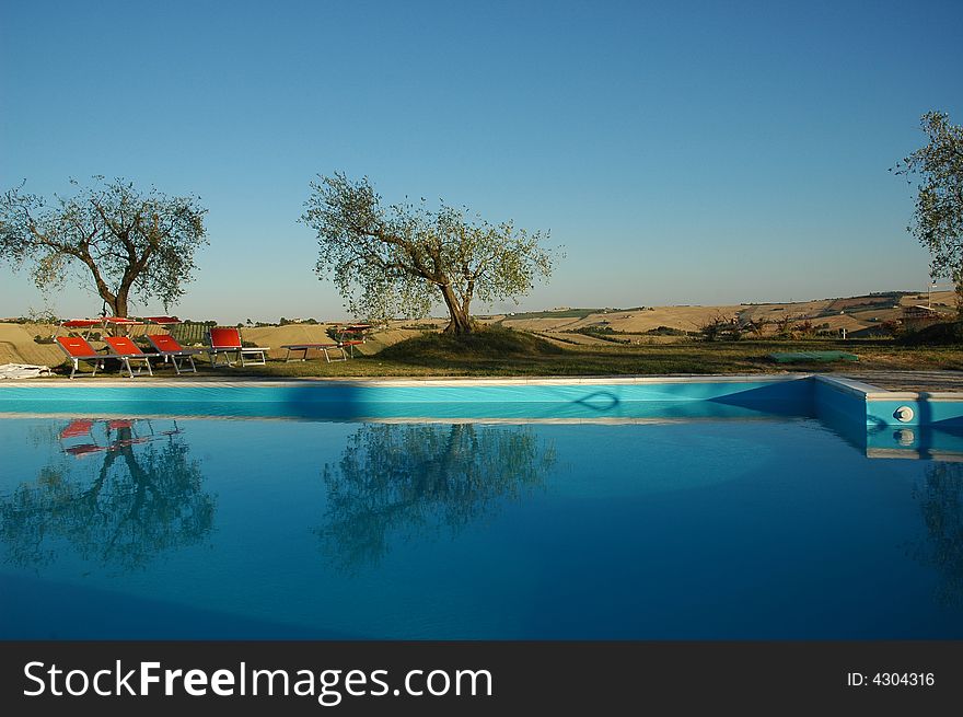 A beautifull outdoor swimming pool surrounded by Olive trees