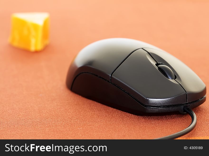 Mouse and cheese on a white background
