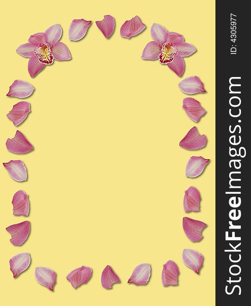 Orchid Arch Border Yellow