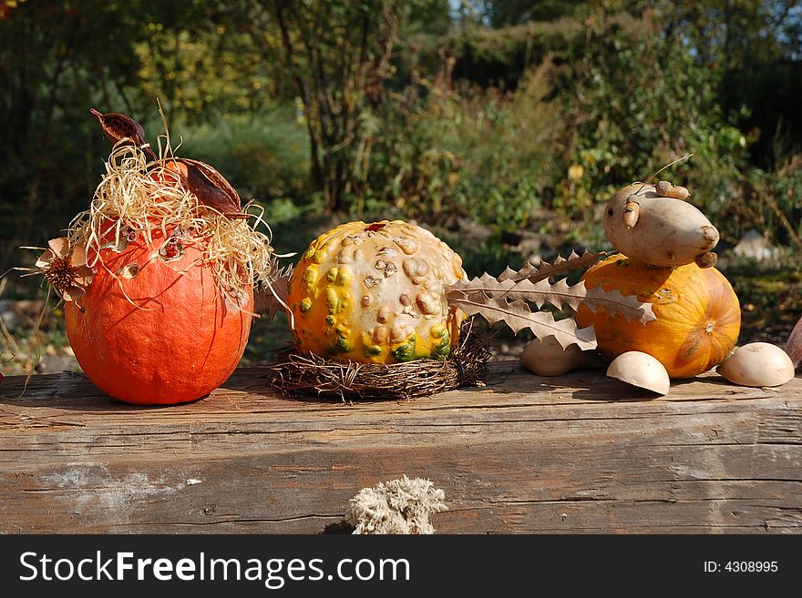 Autumn Autostill-life With Pumpkins