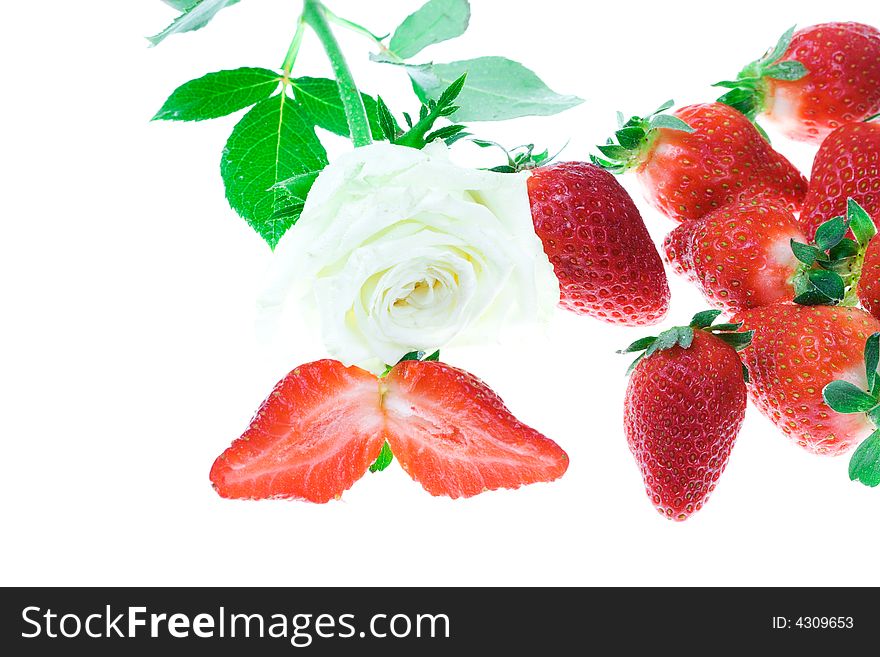 Rose and strawberry on a white background (isolated)