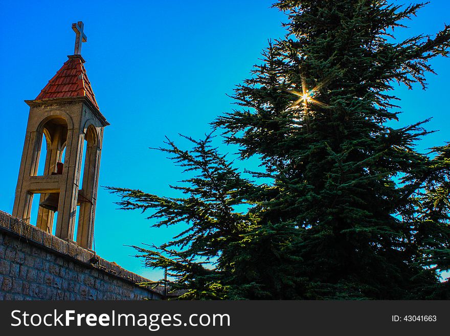 A church bell with a big cedar tree hiding the sun behind.