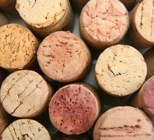 Tops Of Wine Corks Stock Photography Tops Of Wine Corks Stock Photography