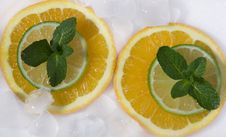 Lime And Orange Segments Whith Mint Royalty Free Stock Photography Lime And Orange Segments Whith Mint Royalty Free Stock Photography
