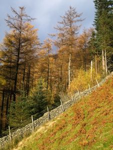 Steep Footpath Up Helvellyn Royalty Free Stock Images Steep Footpath Up Helvellyn Royalty Free Stock Images