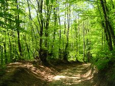 Countryside Road Royalty Free Stock Images Countryside Road Royalty Free Stock Images