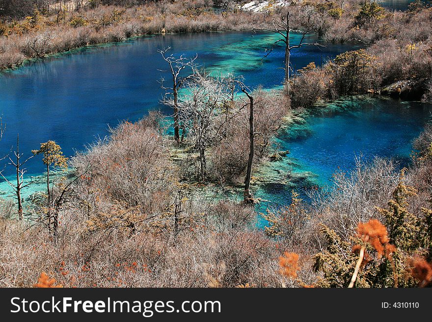 Shuzheng Sea In Jiuzhaigou