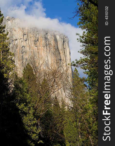 El Capitan in fog, Yosemite Valley