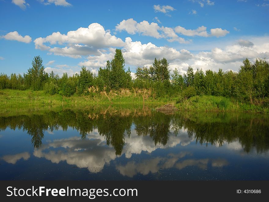 The shadow of clouds, sky and tree in lake. The shadow of clouds, sky and tree in lake