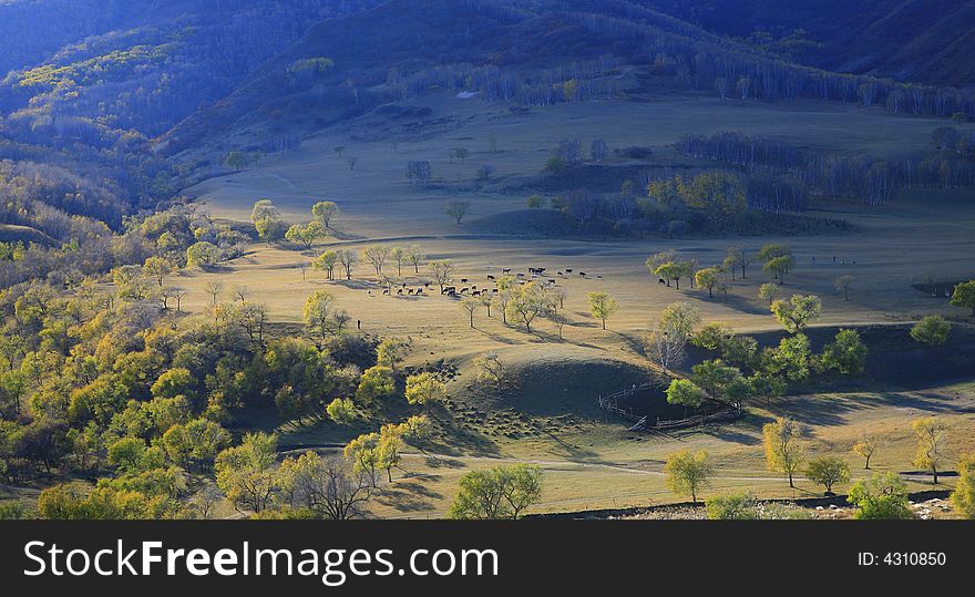 Grass land in china far away from big cities little people little polution. Grass land in china far away from big cities little people little polution