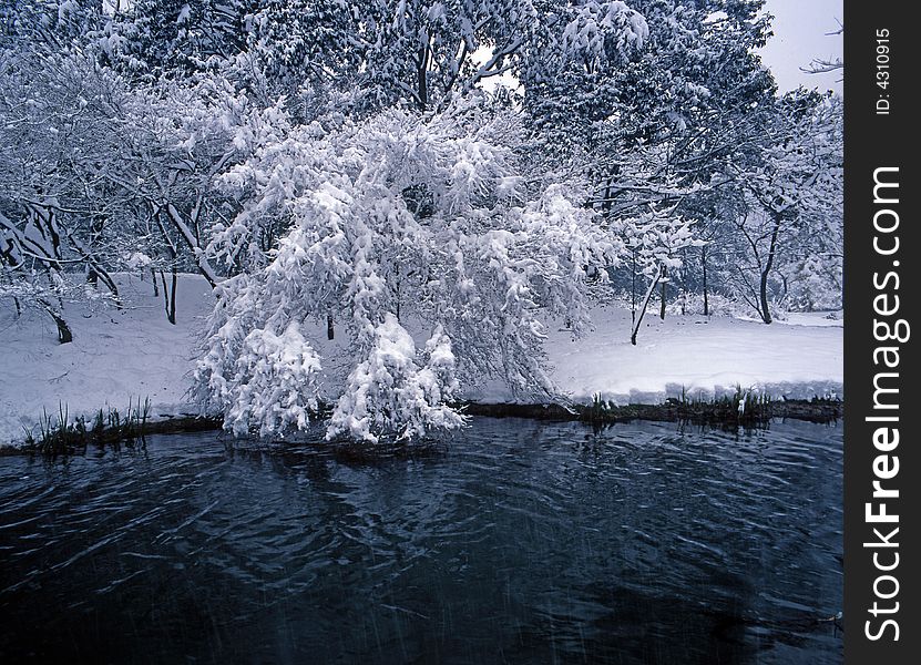 Snow And River