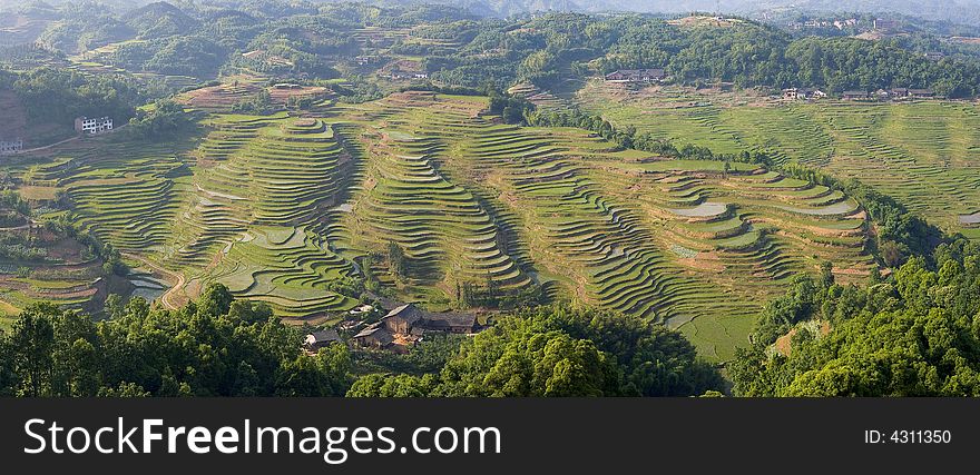 This is the  terrace of Chishui mountains in spring. This is the  terrace of Chishui mountains in spring