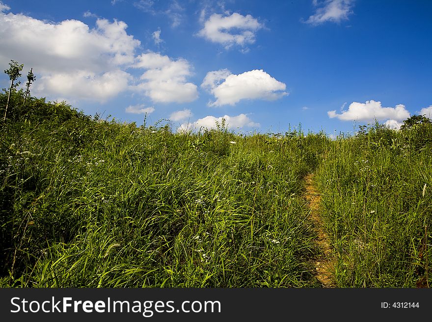 Blue Skyã€white clouds & green meadows in Summer. Blue Skyã€white clouds & green meadows in Summer