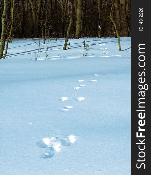 Footprint on deep fresh snow. Footprint on deep fresh snow
