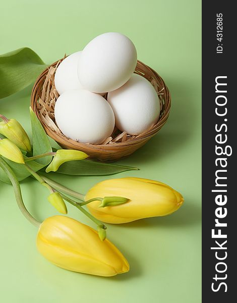 Easter eggs with yellow tulip on green background.