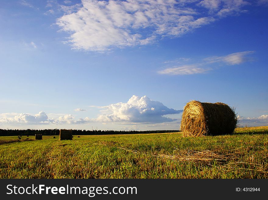 Haystack on a field on a summer day