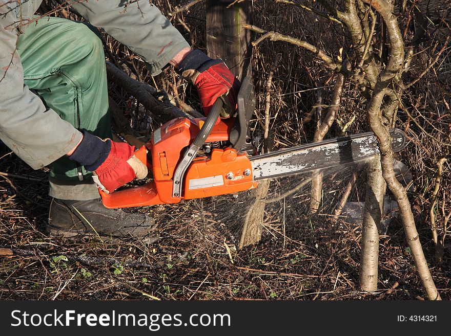 Chain Saw At Work