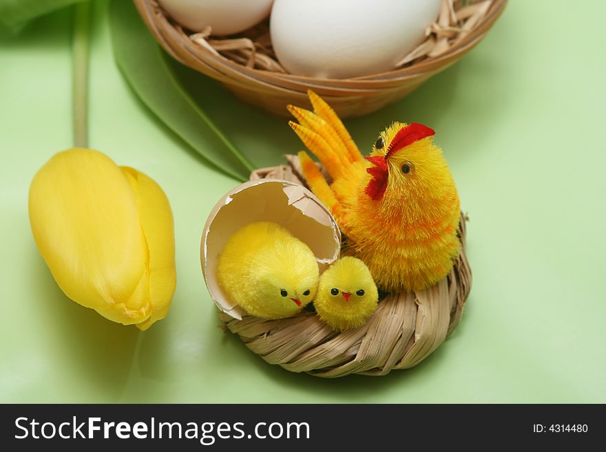 Easter motive.Hen and her chicks,yellow tulip,easter eggs on green background.