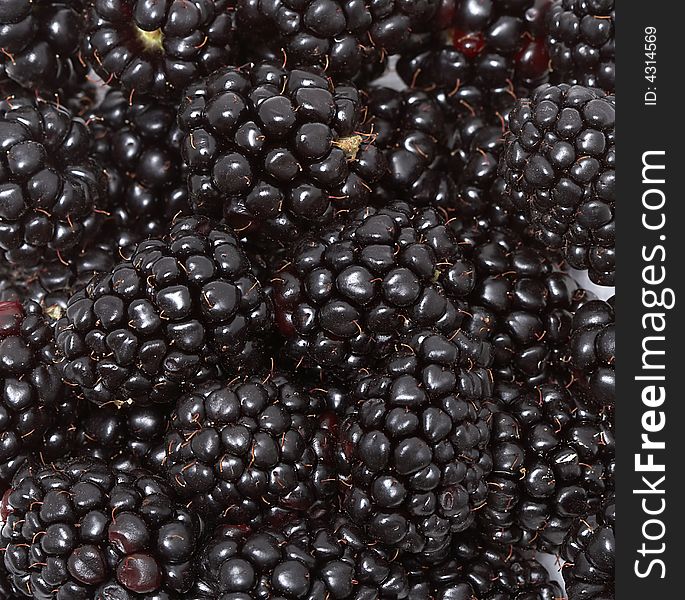 Background from fresh juicy Blackberries. Background from fresh juicy Blackberries