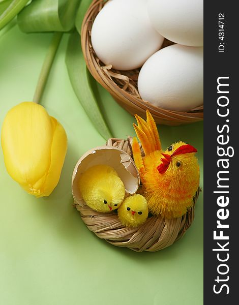 Easter motive.Hen and her chicks,yellow tulip,easter eggs on green background.