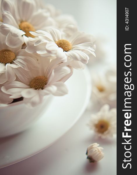 Sparse flowers on white plate and table. Sparse flowers on white plate and table