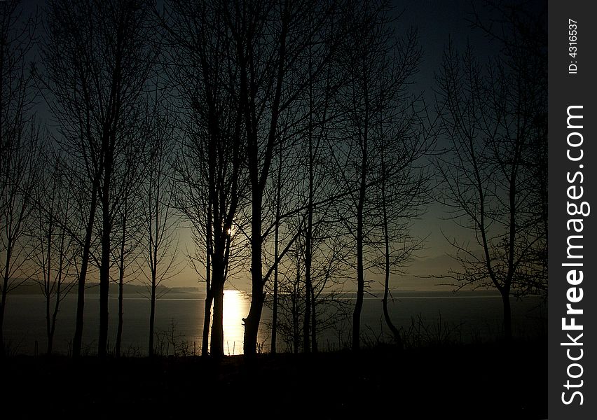 Forest silhouette and sun reflex in lake